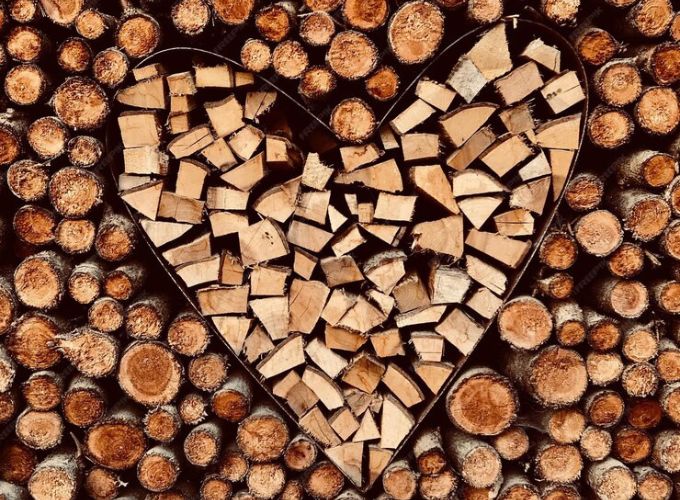 How to Store Firewood
